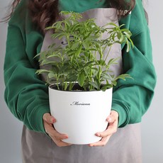 MORIANN 可知澆水時機的刻度圓形花盆, 白色