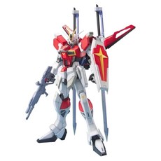BANDAI 1/100 BANDAI MG 119 巨劍型脈衝鋼彈, 1個