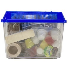 벅스프린스 장수풍뎅이 초급자 사육세트, 블루, 1개