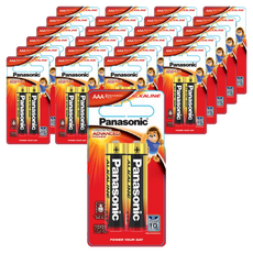 파나소닉 알카라인 AAA 건전지, 2개입, 24개