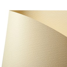 DOOSUNG PAPER 彩色人魚紙A4 178g JUMBO W41 香草色, 100個