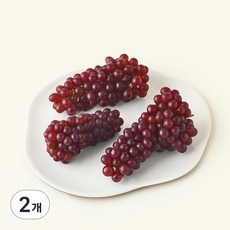 델라웨어 포도, 500g, 2개
