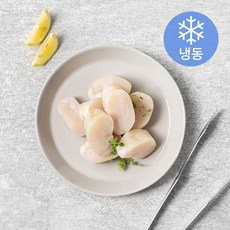 키조개관자살 (냉동), 900g, 1개