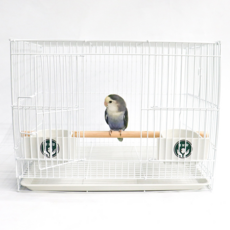 LIP Parrot 安全鳥籠 400 小型鳥籠, 1個, 白色