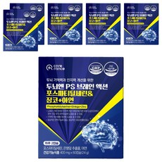 케어란스 두뇌엔 PS 브레인 액션 포스파티딜세린 징코 아연 영양제 2.4g, 3개, 6정