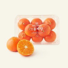 동백향, 1kg, 1개