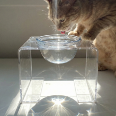 링펫 아크릴 유리수반 중형, 1개