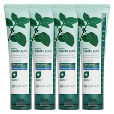 2080 Dentileaf 高含氟1450 去除口臭牙膏, 4個, 120g