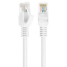 infotec 英富達 超五類無遮蔽 Cat.5e RJ45 高速網路傳輸線 適用於電腦與ADSL網路集線器連接使用 30M, 白色, 1條