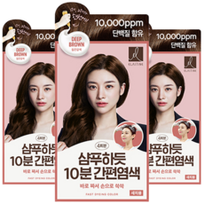 엘라스틴 샴푸하듯 10분 간편 염색제 세트 80g, 짙은갈색, 3개