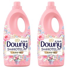 다우니 초고농축 5성급 호텔 컬렉션 섬유유연제 스프링 가든 본품, 2L, 2개