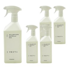 Saengong 生活工作所 噴式除霉劑 蘋果香, 750ml, 5個