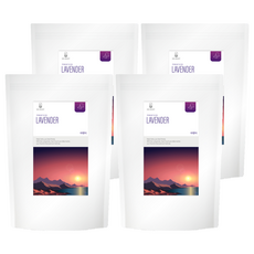 닥터루트 라벤더차 삼각티백, 1.2g, 100개입, 4개