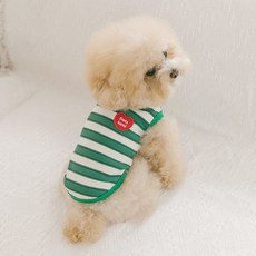 펫츠랜드 강아지 데일리하트 라인즈 티셔츠, 그린, 1개