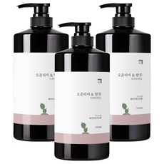 Homekeeping 仙人掌竹子護髮素 尤加利樹香, 1L, 3個