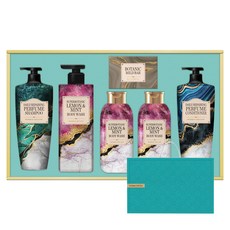 LG생활건강 정성담은 샴푸&바디 세트 A3 + 쇼핑백, 1세트