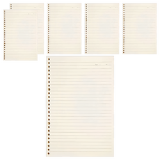 葉子小舖 A4活頁夾 橫線補充內頁 60張 可拆式30孔活頁本內芯, 6包, 單色