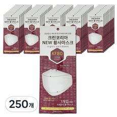 크린코리아 황사 미세먼지 마스크 대형 KF80, 1개입, 250개