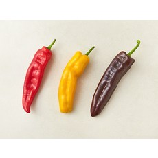 국내산 트리벨리 파프리카, 2개입, 1개