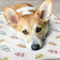 Diky Pet Bassy寵物涼墊, 混色