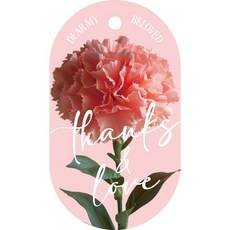 BEST PACK 家庭月康乃馨禮物包裝 Blooming Day 圓角方形吊牌