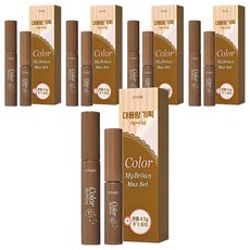 에뛰드 청순 거짓 브라우 카라 4.5g + 9g 세트, 04 내추럴 브라운, 5개