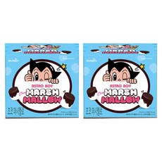 SAMJIN 三進 巧克力棉花糖 20包入, 2盒, 210g