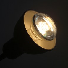 sparkzoo 日間行車燈, 1個, 100W