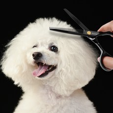 Babion 寵物打薄美容剪 16.9cm, 1個, 黑色