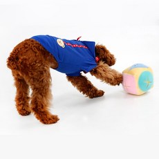 Deopllae 骰子造型寵物藏食玩具, 黃色, 1個