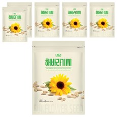 너트리 해바라기씨, 1kg, 6개