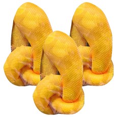 紓壓結 l, 1個, 3個, 粉黃色