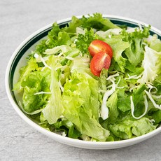 팜에이트 무농약원료 싱그러운 채소믹스, 500g, 1개, 1개, 500g