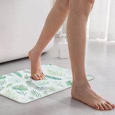 코멧 홈 규조토 발매트, 보테니컬-40