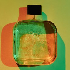 質感擴香瓶 250ml, 1盒, 綠色柑橘