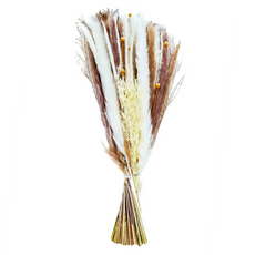 KUIBAO 快豹生活 Goyo 乾燥花, 棕色