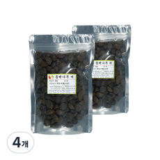 자연한재 동백나무 씨앗, 300g, 4개