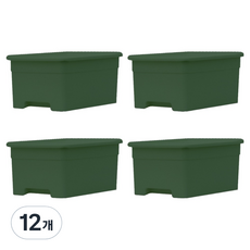 lifist Dear Pantry 收納整理盒, 綠色, 12個