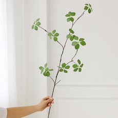 앙플랜트 조화 엔카이셔스 으름나무, L(120cm), 1개