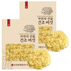 동광한방몰 건조 백목이버섯 은이버섯, 2개, 250g