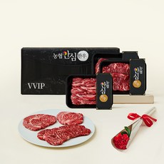 농협안심한우 1++(9) 선물세트 1호 1kg 등심400g + 채끝300g + 갈비살300g, 1세트