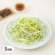 팜에이트 파채 100g + 참소스 20g 세트, 5세트