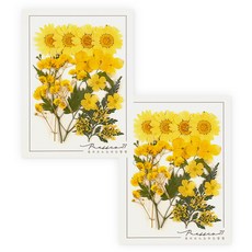 Fresco21 押花綜合包, 2個, K104