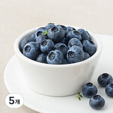 미국산 H&B ASIA 블루베리, 5개, 125g