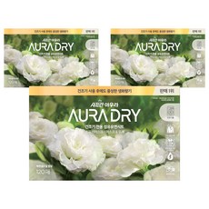아우라 드라이 시트 섬유유연제 스모키머스크, 120개입, 3개
