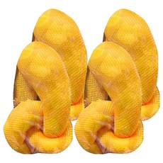 紓壓結 l, 1個, 4個, 粉黃色