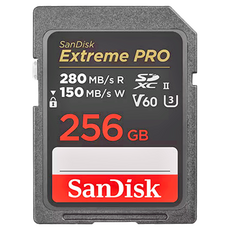 SanDisk 晟碟 Extreme PRO SDXC UHS-II 記憶卡, 256GB, 1個