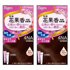 Bigen 美源 花果香快速染髮霜 濃密乳霜 徹底染色 持久亮麗, 4NA自然亮棕色, 2盒