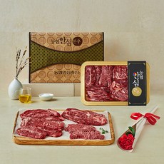 농협안심한우 1등급 채반 구이 선물세트 1호 등심200g + 채끝150g + 갈비살450g + 살치150g + 부채150g, 1세트