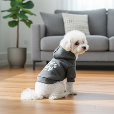 petit dog 寵物刷毛寶寶連帽T恤, 1個, 炭灰色